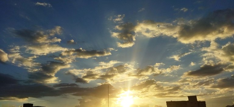 IMG_20231205_161706.jpg