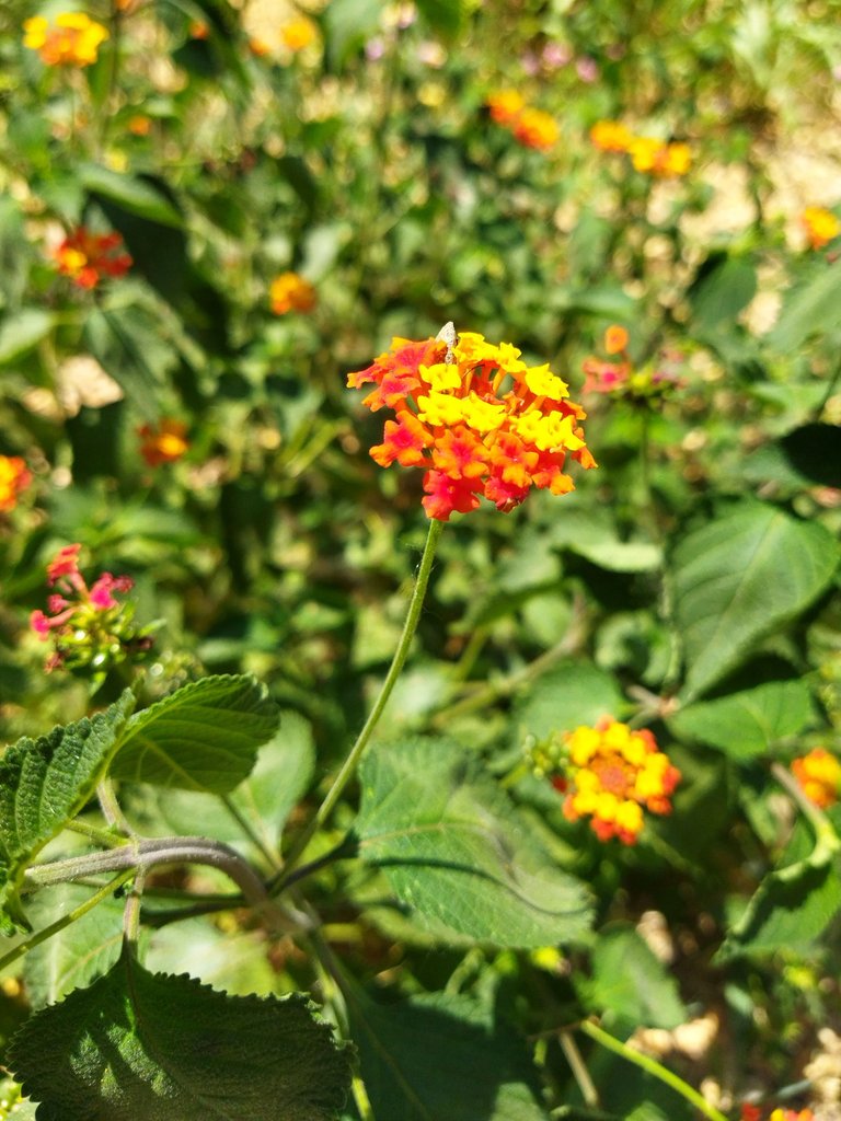 IMG_20250422_162932.jpg