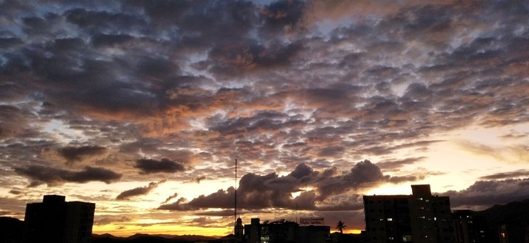 IMG_20231205_160814.jpg