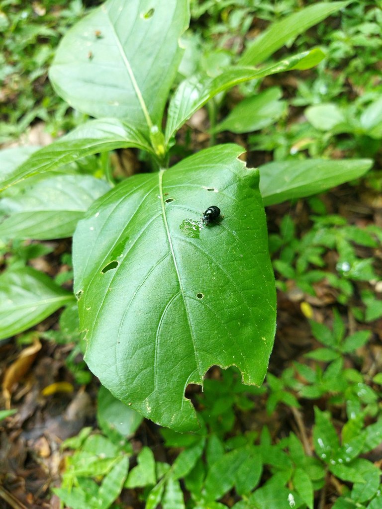IMG_20250707_162538.jpg