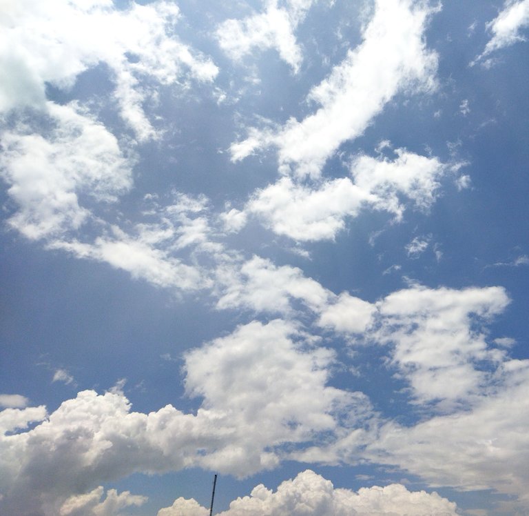 IMG_20231013_145617.jpg