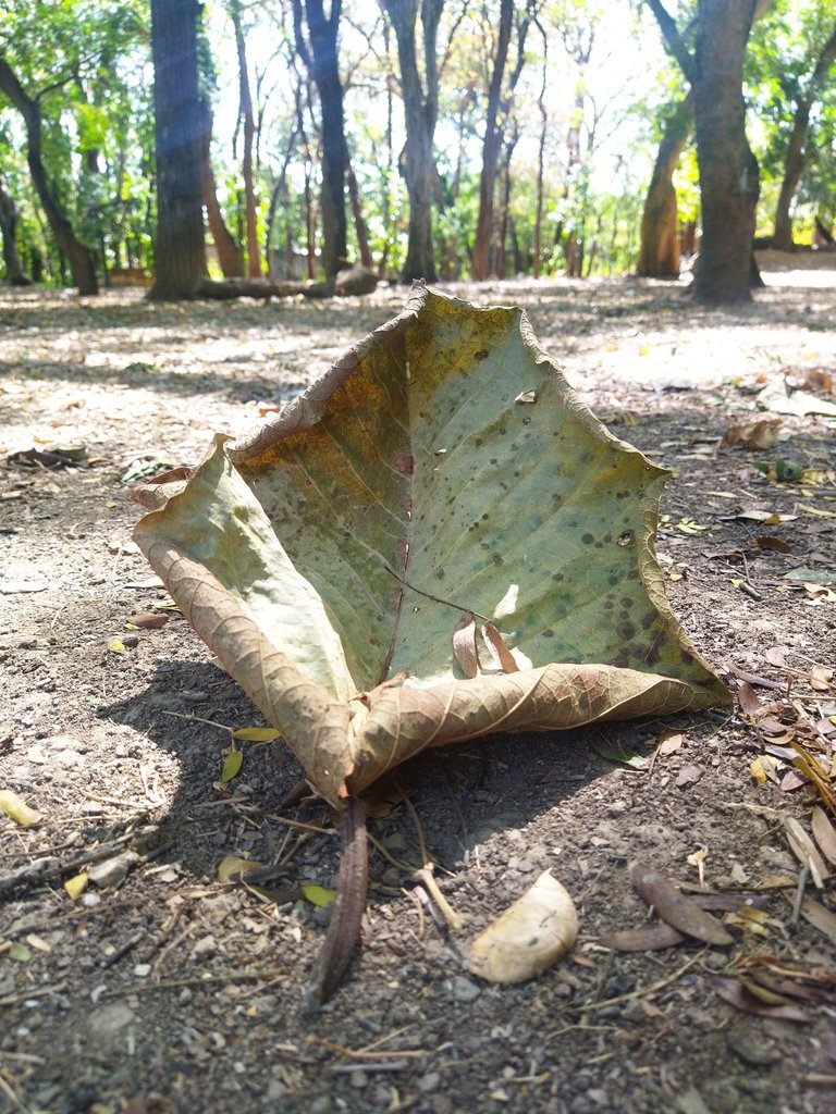 IMG_20250613_213335.jpg