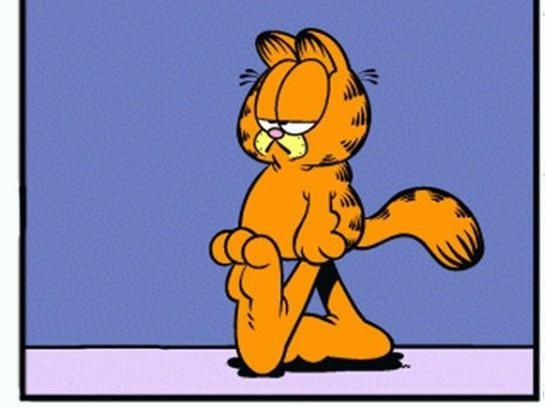 descarga garfield.jpg