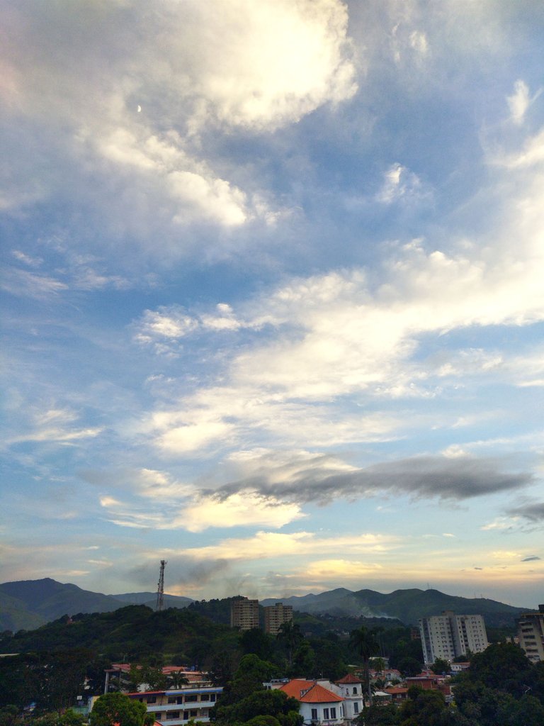 IMG_20231013_145046.jpg