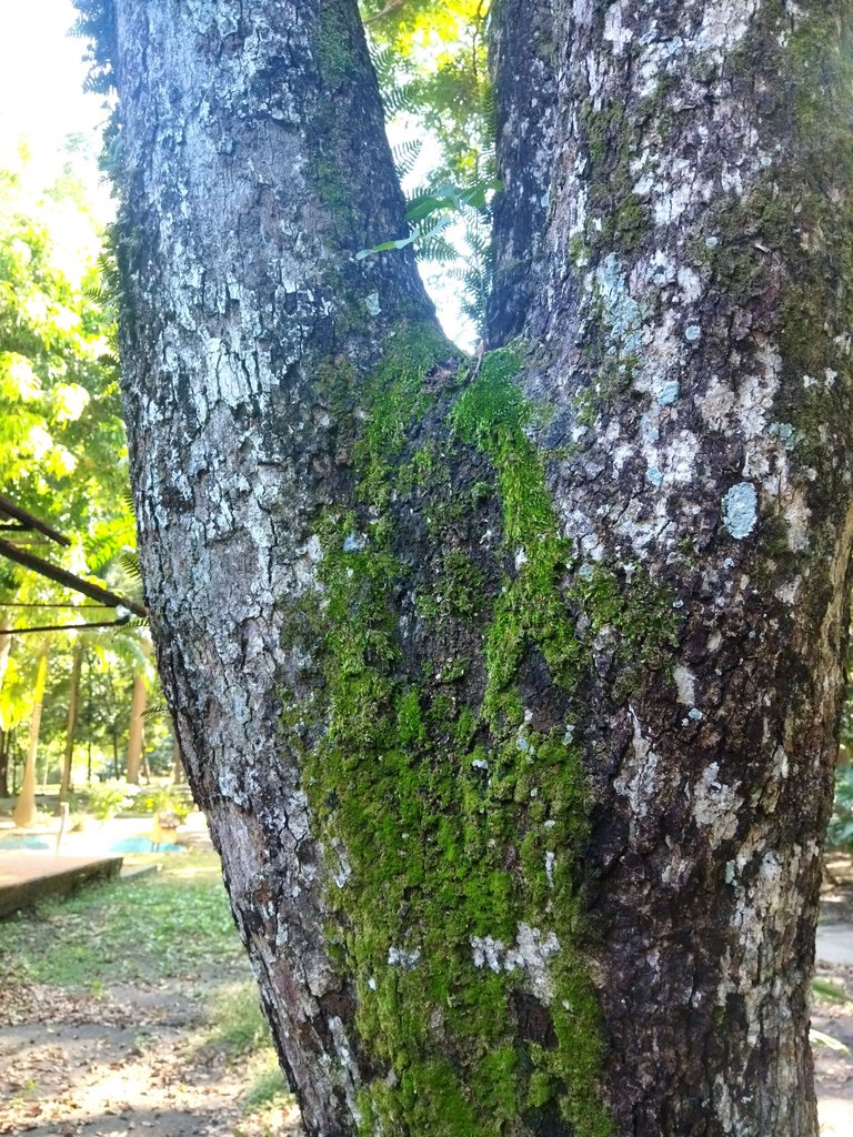 IMG_20250509_232752.jpg