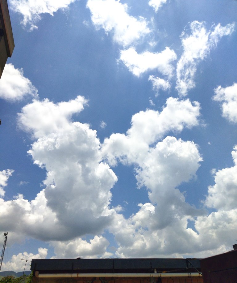 IMG_20231013_140021.jpg