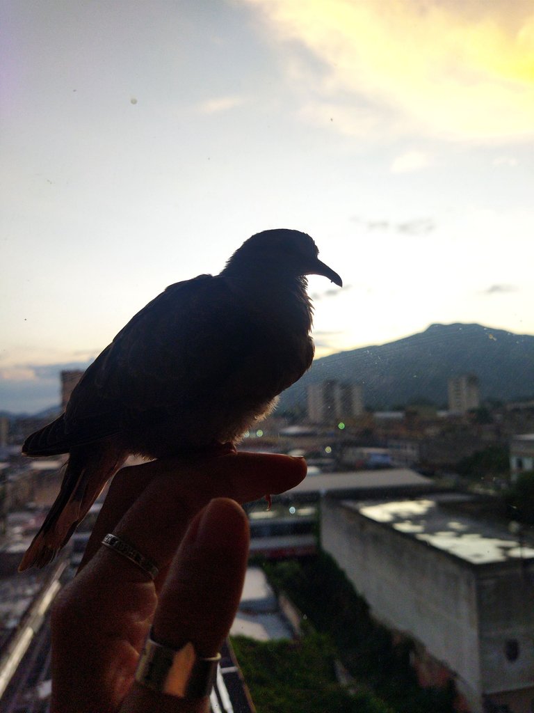 IMG_20250602_162206.jpg