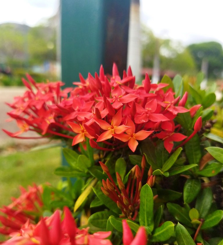 IMG_20250623_170406.jpg