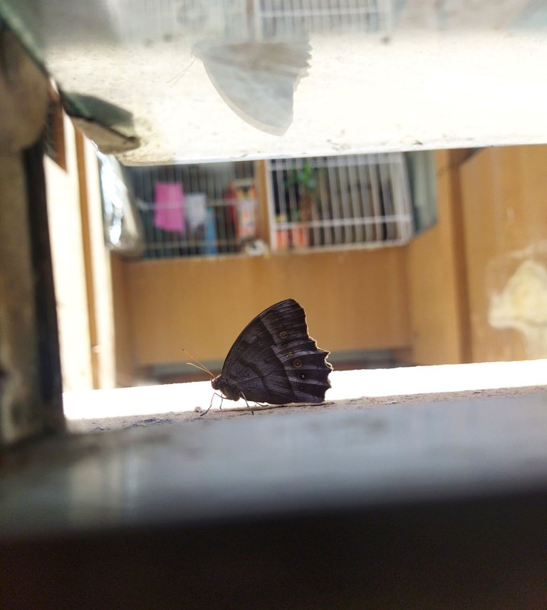IMG_20250505_175222.jpg