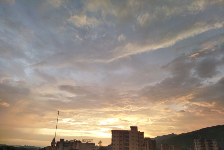 IMG_20231013_145931.jpg