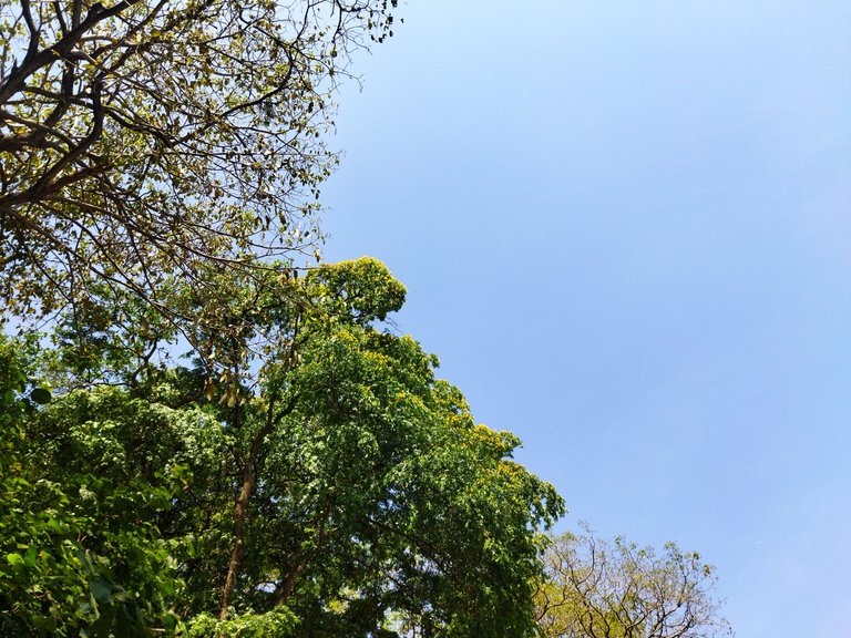 IMG_20250903_164824.jpg