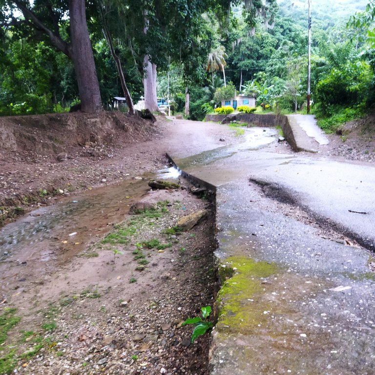 IMG_20250809_070008.jpg