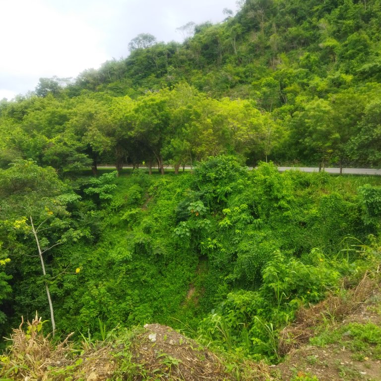 IMG_20250803_071042.jpg