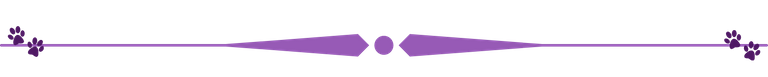 paw divider transparent.png