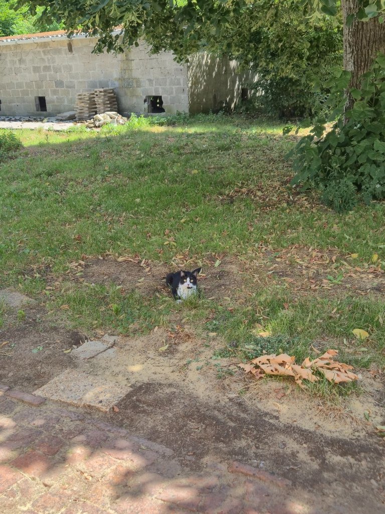 20250703_151036.jpg