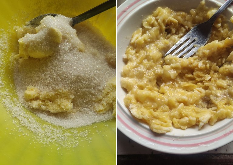 Pasta con salchichas guisadas (1).png