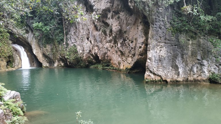 IMG_20190809_142632.jpg