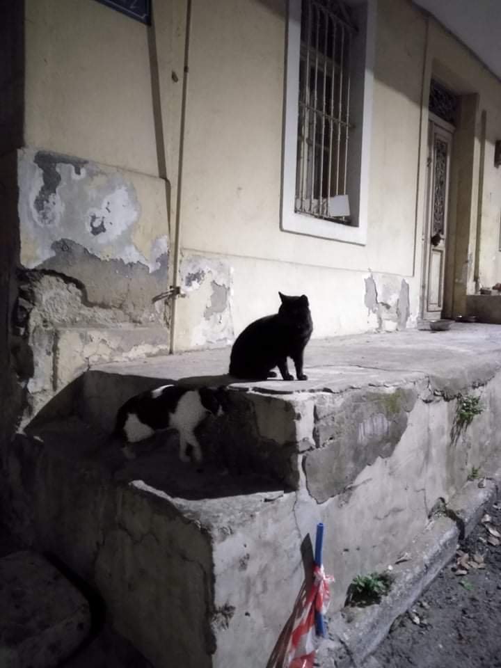 received_4876092122424680.jpeg