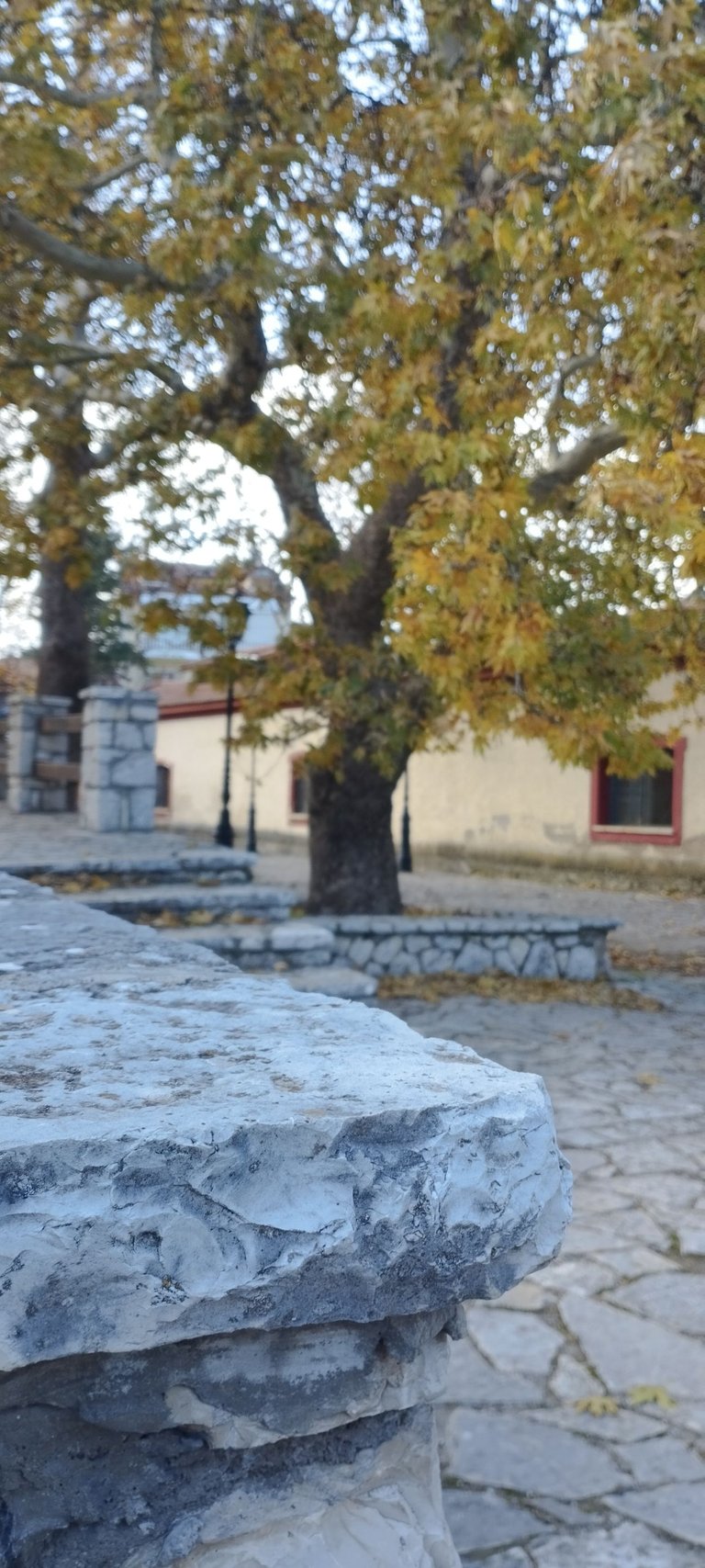 1000008707.jpg