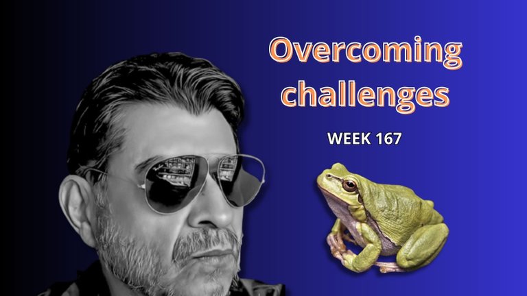 Overcoming challenges - WEEK 167