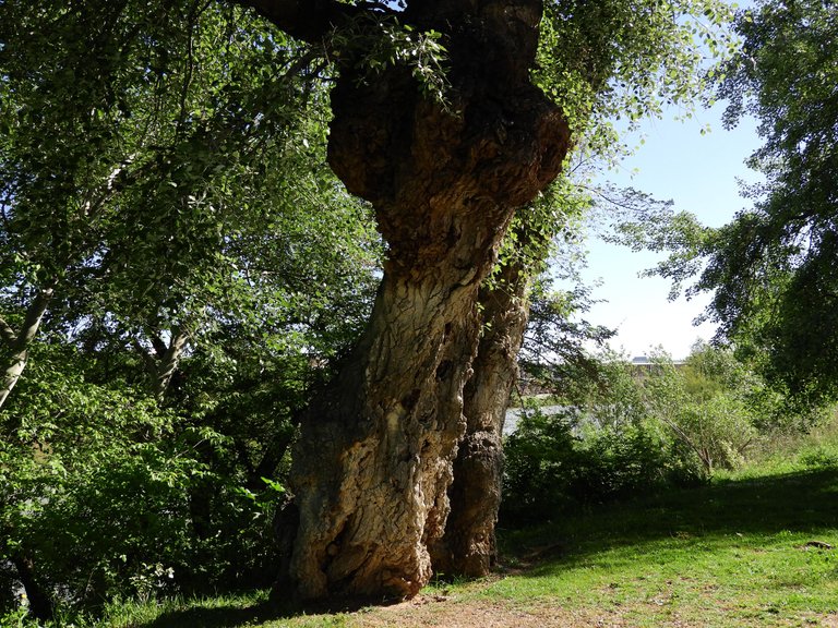 DSCN3569.JPG
