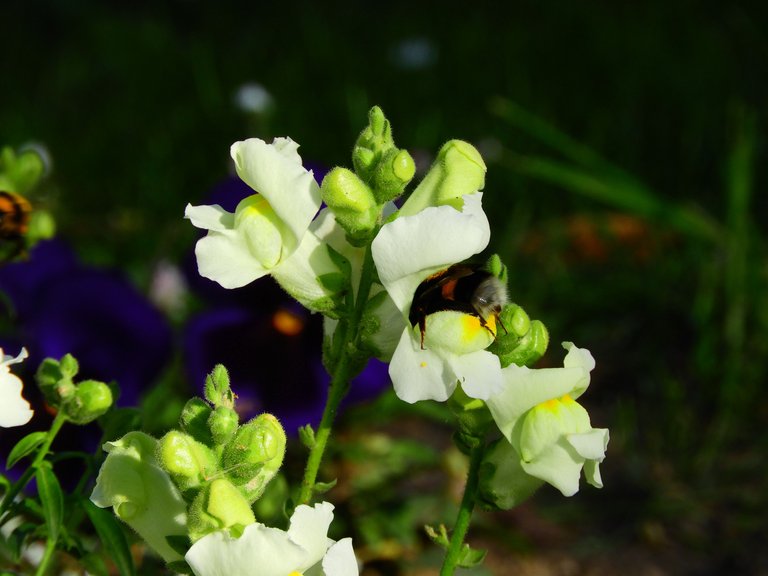 DSCN3122.JPG