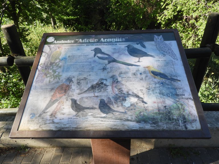DSCN3675.JPG