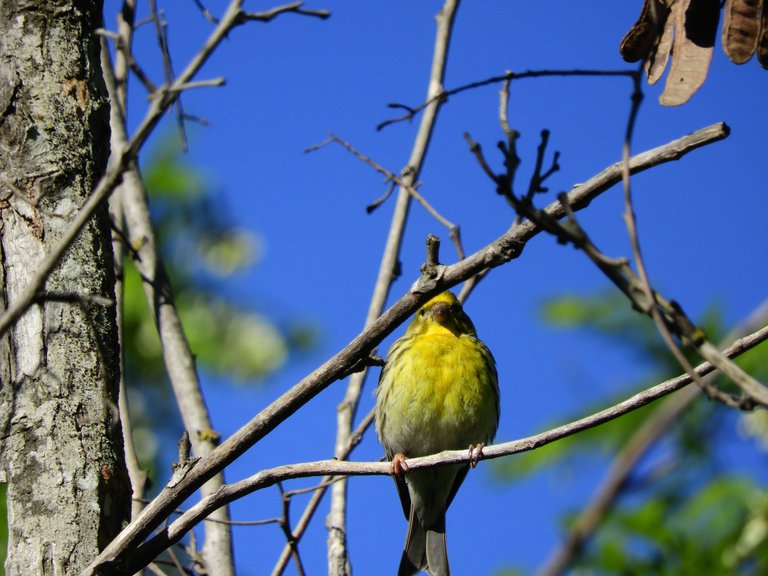DSCN3728.JPG