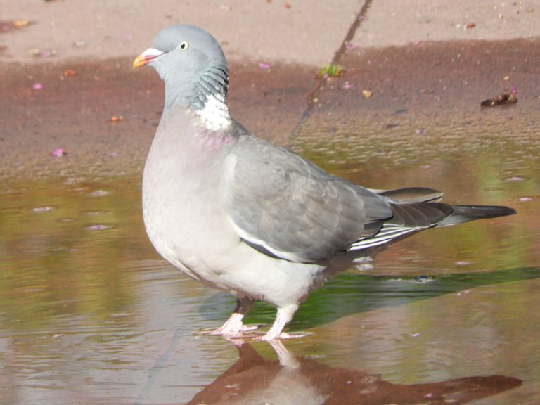 RSCN3673.JPG