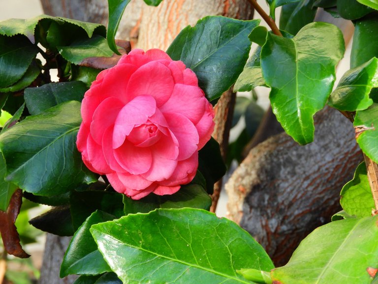 DSCN3140.JPG