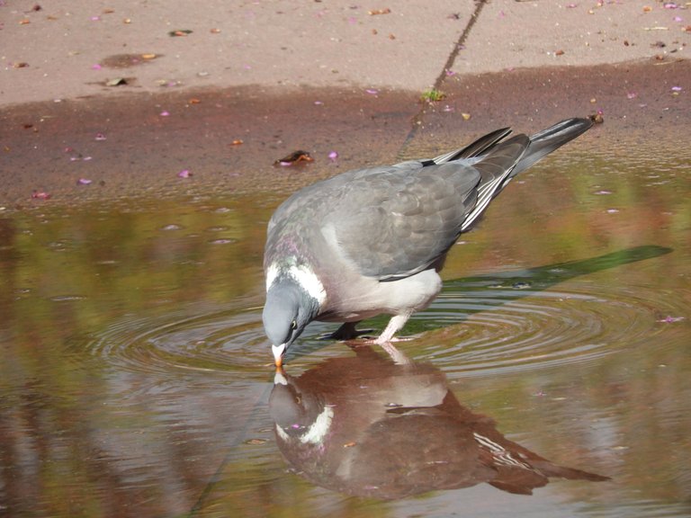 DSCN3670.JPG