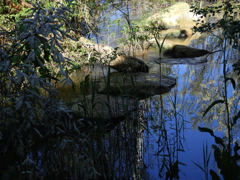 DSCN3548.JPG
