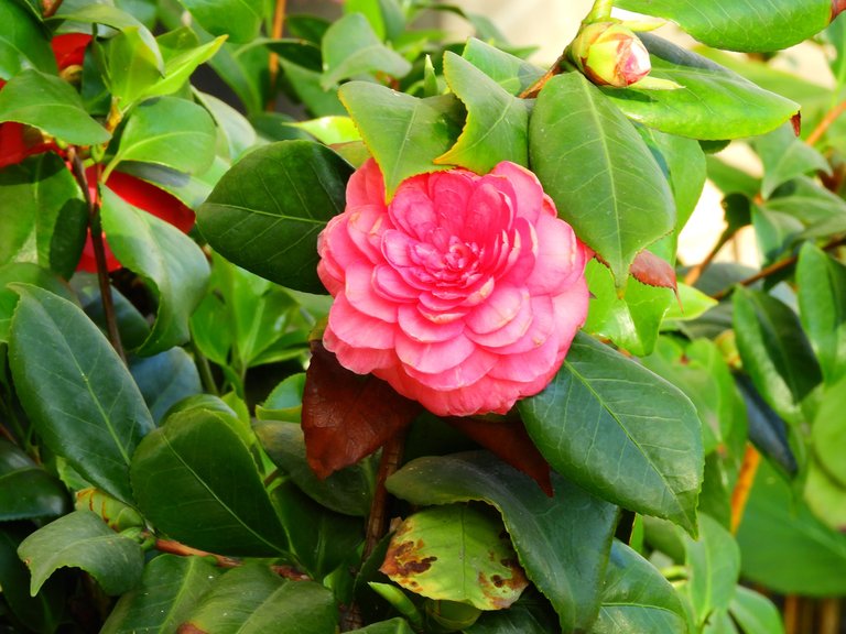 DSCN3138.JPG