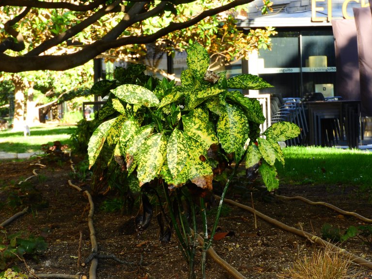 DSCN3144.JPG