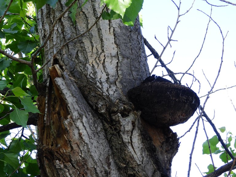 DSCN3545.JPG