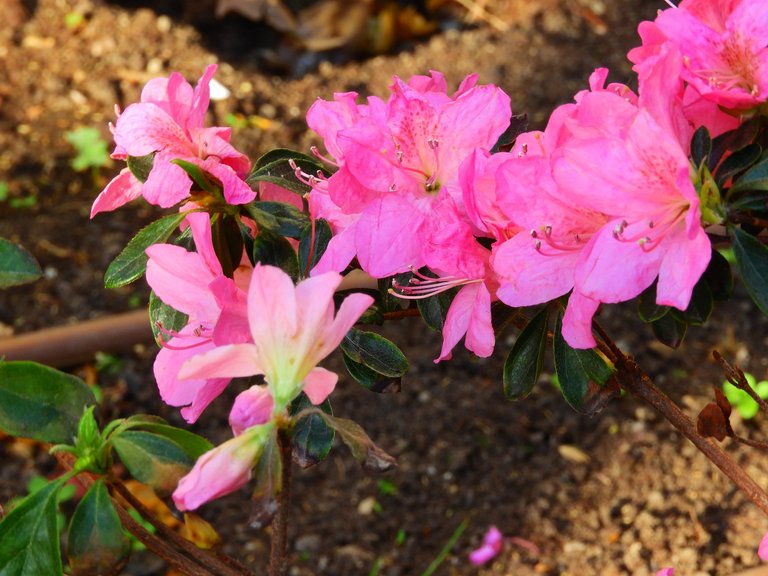 DSCN3139.JPG