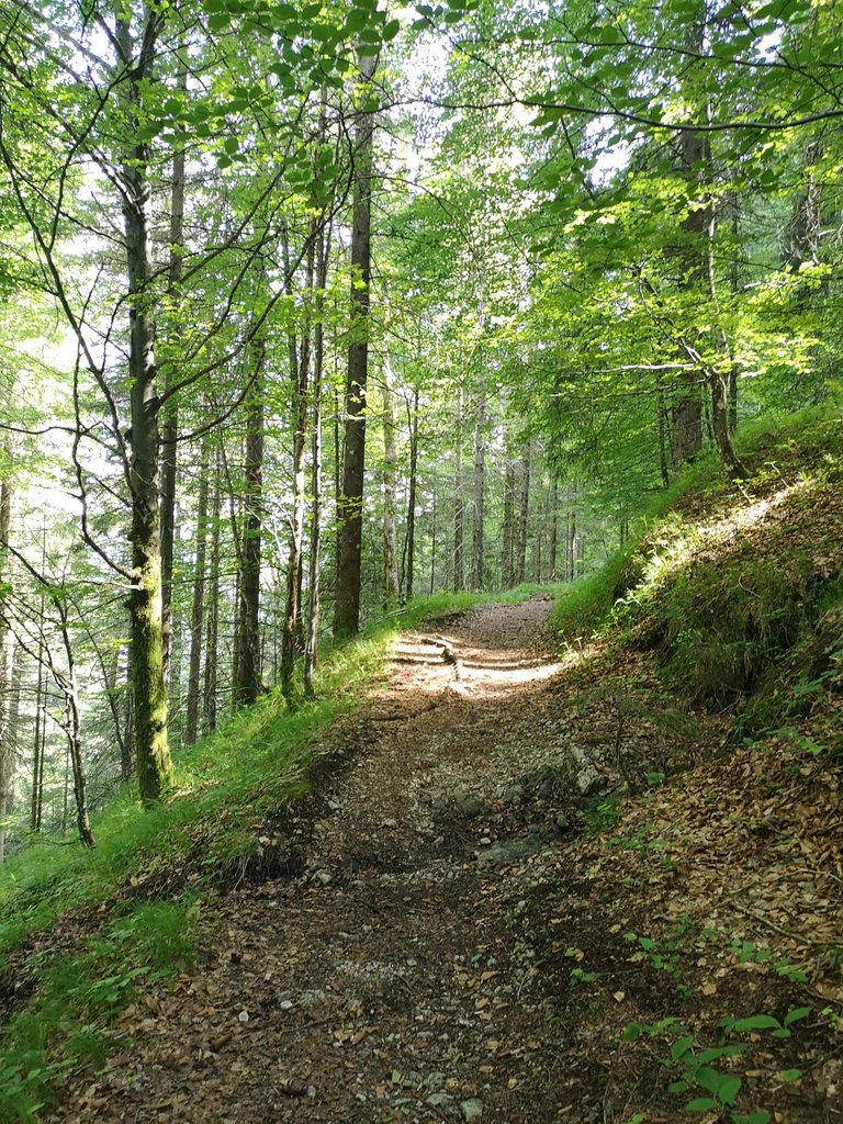 zur_Schlucht_bergauf.jpg