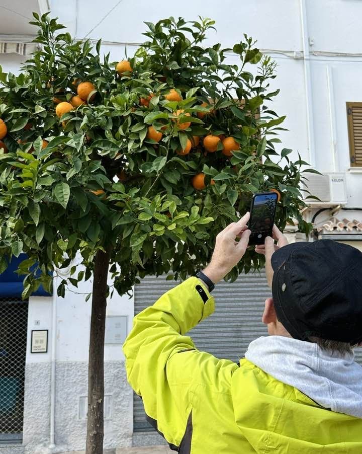 Orangen Making Of.jpg