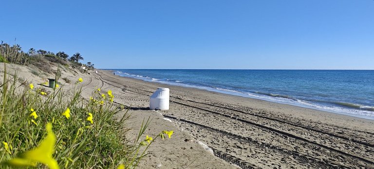 Strand Elviria.jpg