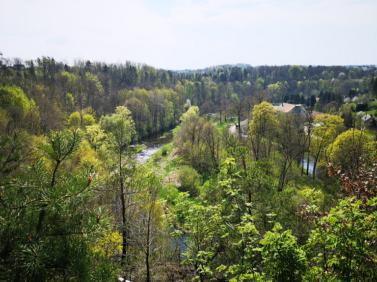 Blick vom Hauboldfelsen.png