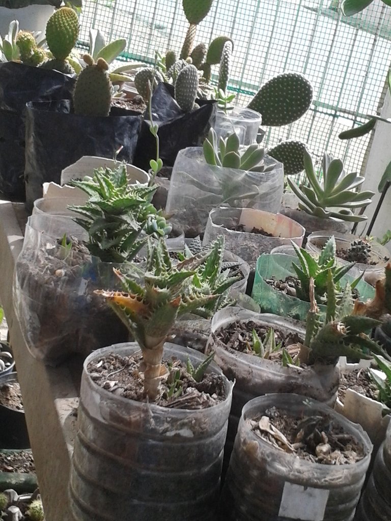 20200621_100904.jpg