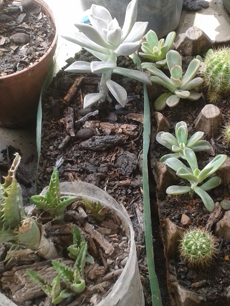 20200808_115534.jpg
