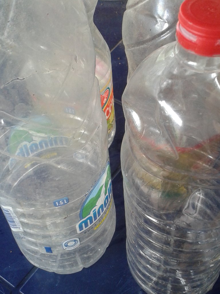 20200808_121821.jpg