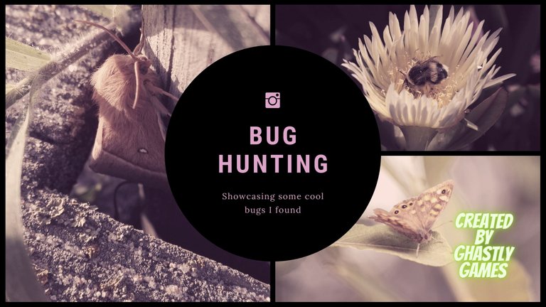 Bug Hunting Hive.jpg