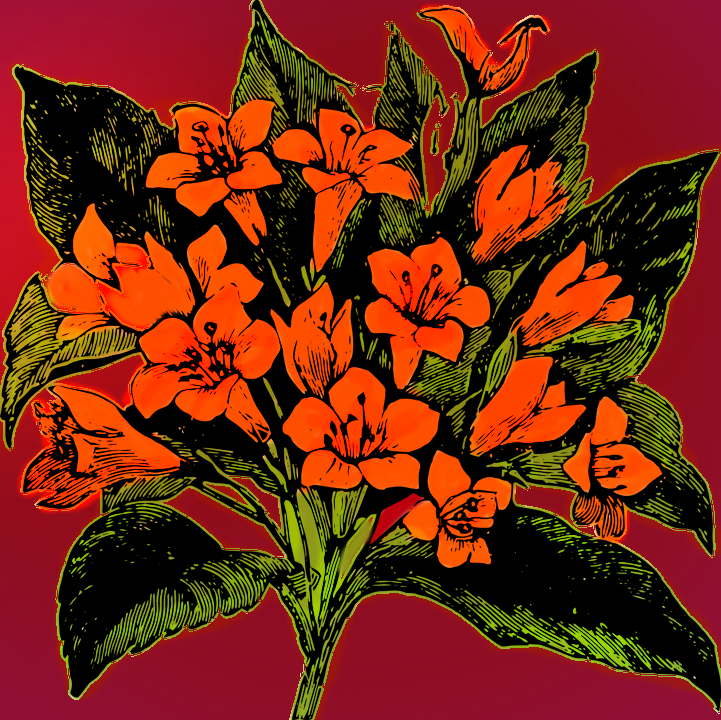 flower4148439_960_720.png