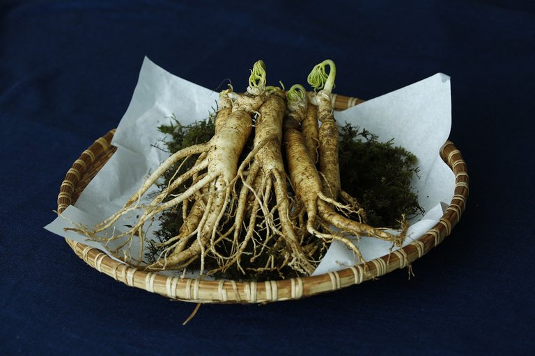 ginseng-3404958_1280 (1).jpg