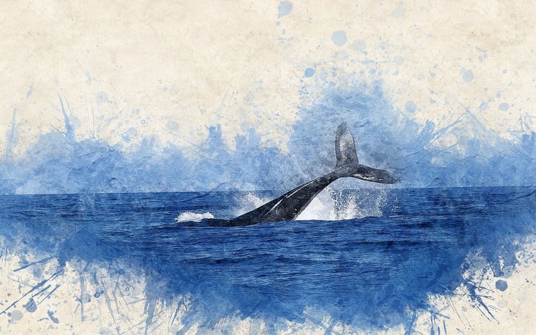 whale-2998812_1920.jpg