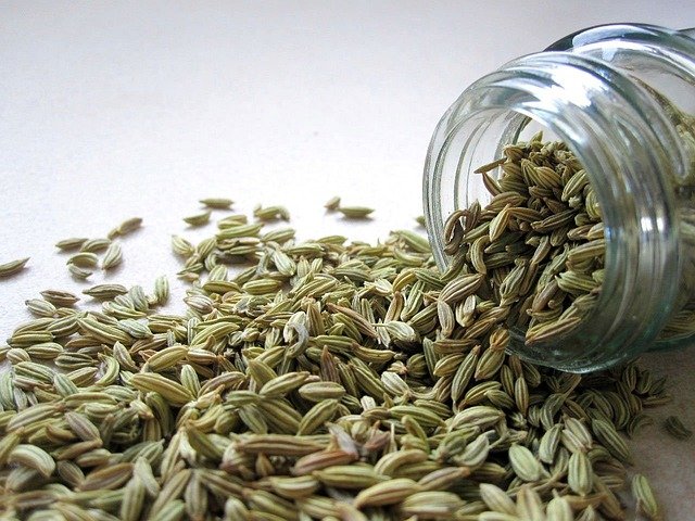 fennel-2617_640.jpg