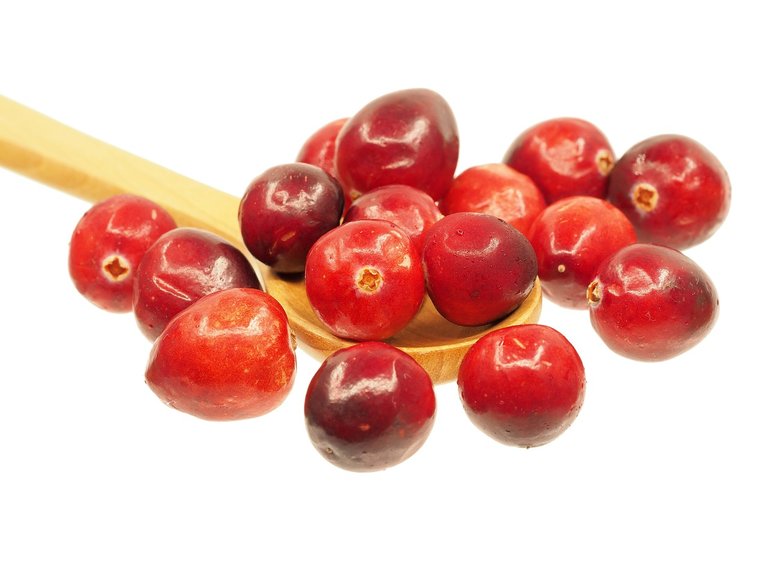 cranberry-1767425_1280.jpg