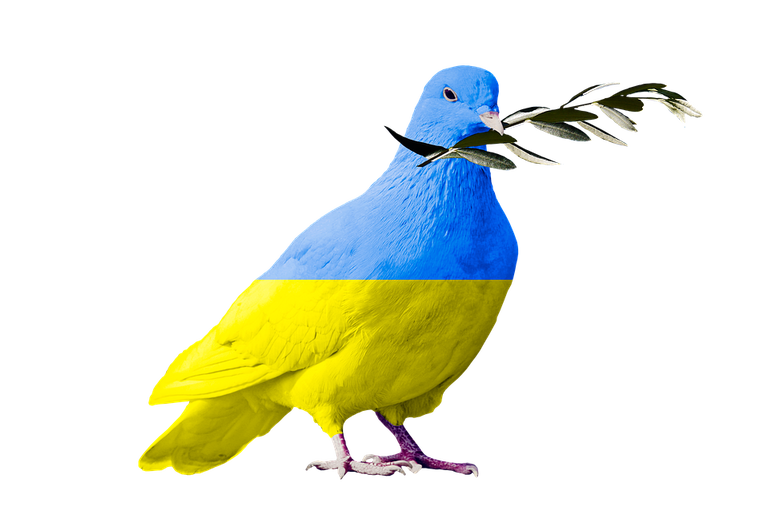 dove-of-peace-7051688_960_720.png